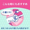 Kao(花王) Sanina Refill 90ml