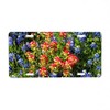 CafePress Texas Bluebonnets Aluminum License Plate, Front License Plate, Vanity