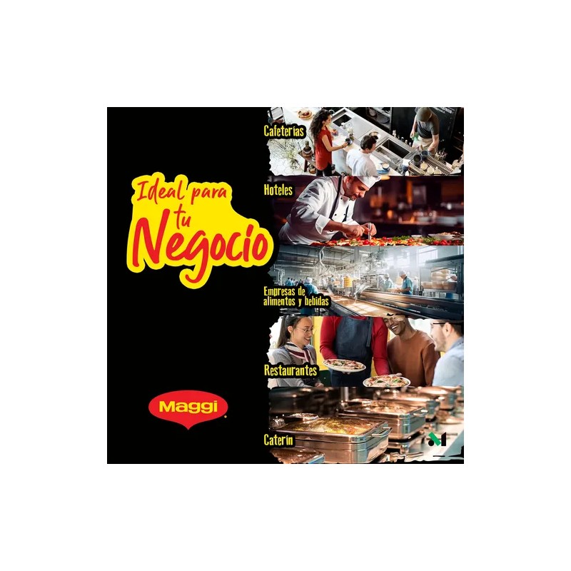 Maggi Jugo Sazonador 1.9l
