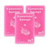 Kameko Tsukko Nishio Shoten Kameko Sponge, Winter Color, Camellia, Set