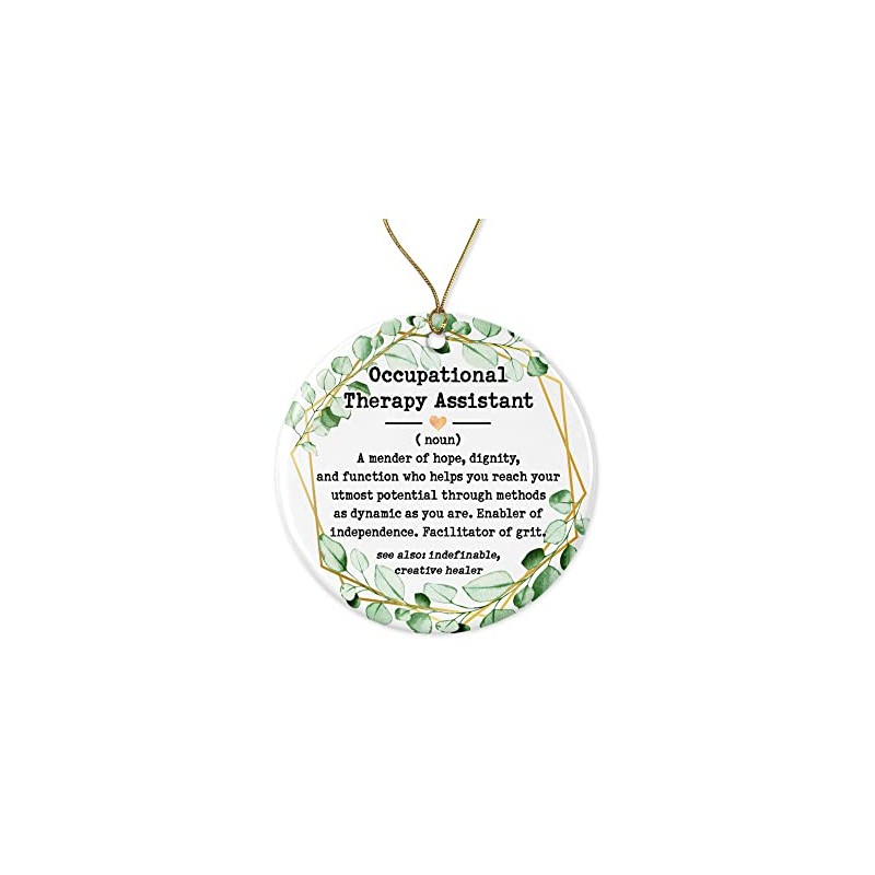 HTDesigns Occupational Therapy Assistant Definition Ornament - Gift for Men