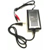 pccmotor 12 Volt battery Charger 12V for Gas Scooter ATV