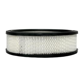 ACDelco GM Original Equipment A773C (25040929) Air Filter