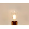 Dream lighting LED Edison Bulb 3W, 150 Lumens, Warm White