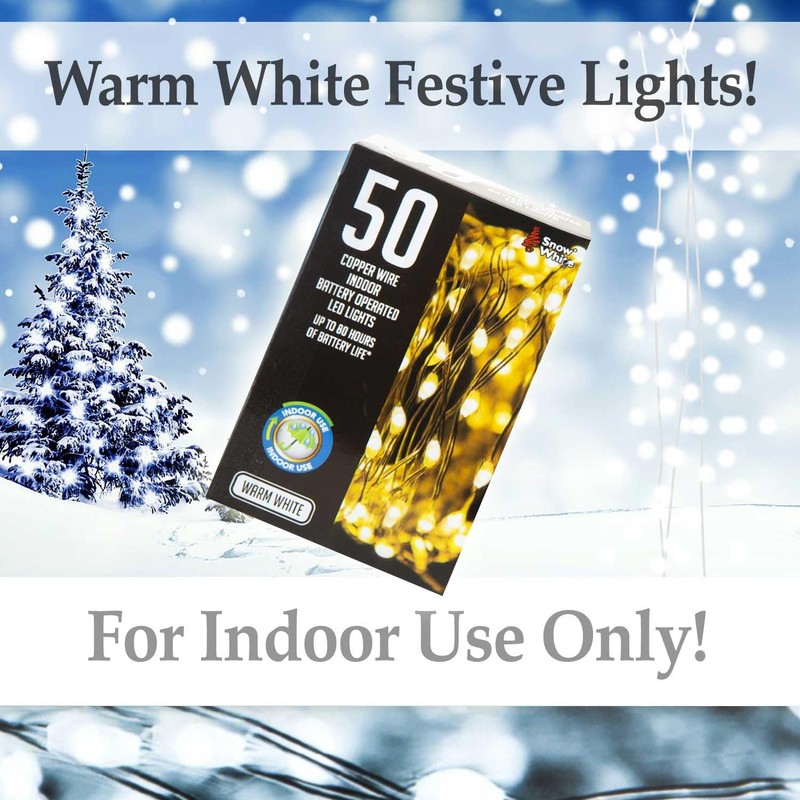 VFM - Indoor Copper Wire Lights- Warm White- Christmas Lights