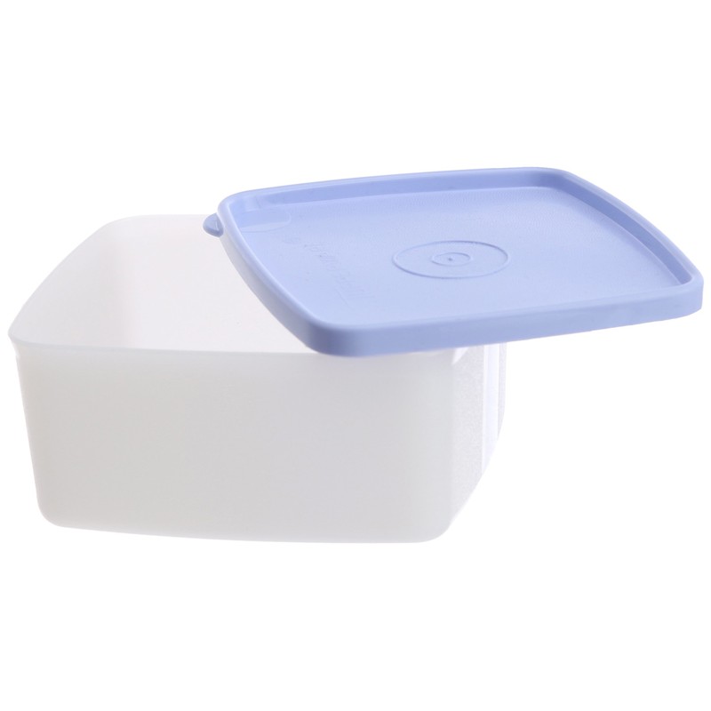 Tupperware Small Cool N Fresh Set, 450ml, Set of 2