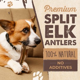 Mighty Paw Naturals Split Elk Antler for Dogs | USA Sourced, Long Lasting Chew for Aggressive Chewers – Low Odor, Natural Alternative to Dog Toys