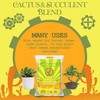 Organic Mechanics Cactus and Succulent Blend Potting Soil, 2 Quarts