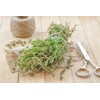 Health Embassy Thyme Herb (Thymus serpyllum L), 100 g