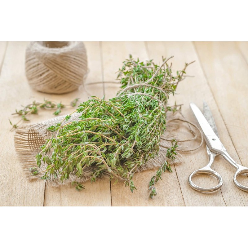 Health Embassy Thyme Herb (Thymus serpyllum L), 100 g