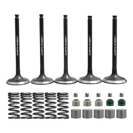 PLANETA MOTOSPORT Válvulas Admisión y Escape | Compatible con Yamaha WR450 YZ450 YFZ450 Modelos 2003-2023 | Kit Completo Repuesto para Motos y Cuatrim