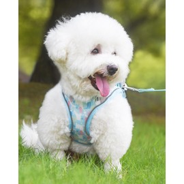 Aecllcea Dog Harness and Leash Set for Small Medium Dogs, No Pull, Step-in, Cat Harness (Blue, XS)