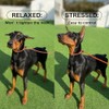 HOWGO Correa Antideslizante para Perros, Correa de Entrenamiento de Cincha