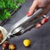 AHEJIOO Chestnut Cutter Stainless Steel Chestnut Cutter, Chestnut Cutter, Chestnut