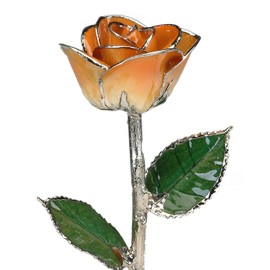 Living Gold Real Rose Dipped in Platinum (2-Tone Orange)