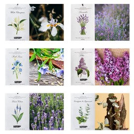 MYARO 12 Pcs Scented Sachets for Drawer and Closet, Long-Lasting Sachets Bags Air Freshener, Potpourri Bags 6 Fresh Scents - Lavender, Linen, Lilac, Eucalyptus Mint, Lemon Verbena, White Champaca