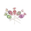 Charms Blow Pops, 2 Pound