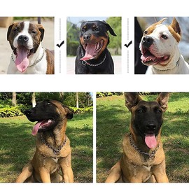 Silver Chain Collar for Medium Dogs, Stainless Steel Training Choke Collar for Dogs Slip P Link Martingale Collars Puppy Choker Chains for XXS XS Small Medium Large Breed Dog, S