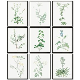 LANCHI95 Botanical Wall Art - Minimalist Aesthetic Rose Collection, Bedroom Wall Art, Sage Green Eucalyptus Leaf Prints for Office (9pcs- 8x10in- UNFRAMED) (Botanical)