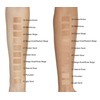L'Oréal Infallible Total Cover Foundation, 21 Golden Sand, 35 g