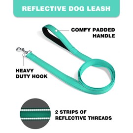 Erbine 6FT Reflective Nylon Dog Leash with Soft Padded Handle for Walking, Running and Training, Supports Small Medium and Large Dogs (Turquoise, 3/4Inch Wide)