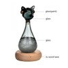 Weather Predictor Cat Bottle Black Ergonomic Rugged Glass Weather Predictor