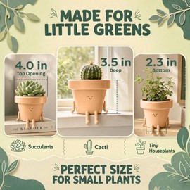 Maceta de Interior, única y Bonita Maceta de plástico con Cara, Maceta de Cactus de 3.5 Pulgadas, Regalo para Amantes de Las Plantas, Maceta Decorativa