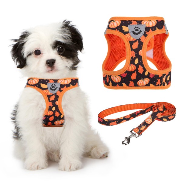 KOOLTAIL Fall Dog Harness and Leash Set for Small Medium