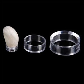 10Pcs Acrylic Display Stand Clear Ring Baseball Stands Round Display Stand for Golf Ball, Baseball, Softball, Tennis Ball, Spheres, Marbles, Collections, Memorabilia Display and Storage( Small )