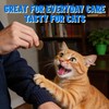 Just Try Eye Support with Taurine for Cats