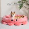 Jiupety Cute Calming Dog Beds Clearance for Large and Extra