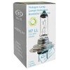 Halogen Bulb