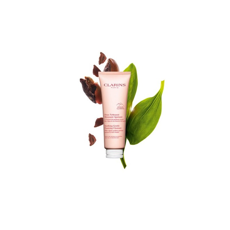 Clarins [Clarins] Gentle Foaming Cleanser 125ml / [클라랑스]젠틀 포밍 클렌저