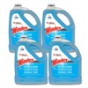 SC Johnson Professional Windex Glass and More Multi-Surface Cleaner, Windex
