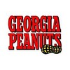 40oz Jar of Georgia Fried Peanuts