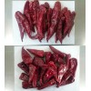 Magic Plant Farms Gochugaru Pepper Powder 12oz | Korean Pepper