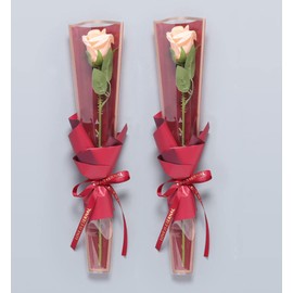 100 Pcs Clear Gold Edge Rose Packaging Bag Single Rose Packaging Bag, Waterproof Floral Wrapping Paper (red)