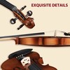 Aileen 1/4 Violin Set, Beginners Fiddle Kit for Teenagers with