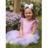 Miipat Toddler Girls Tulle Dress Flutter Sleeve Princess Party Dress