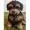 Pet Pals Black and Tan Cavapoo | Resin Home or