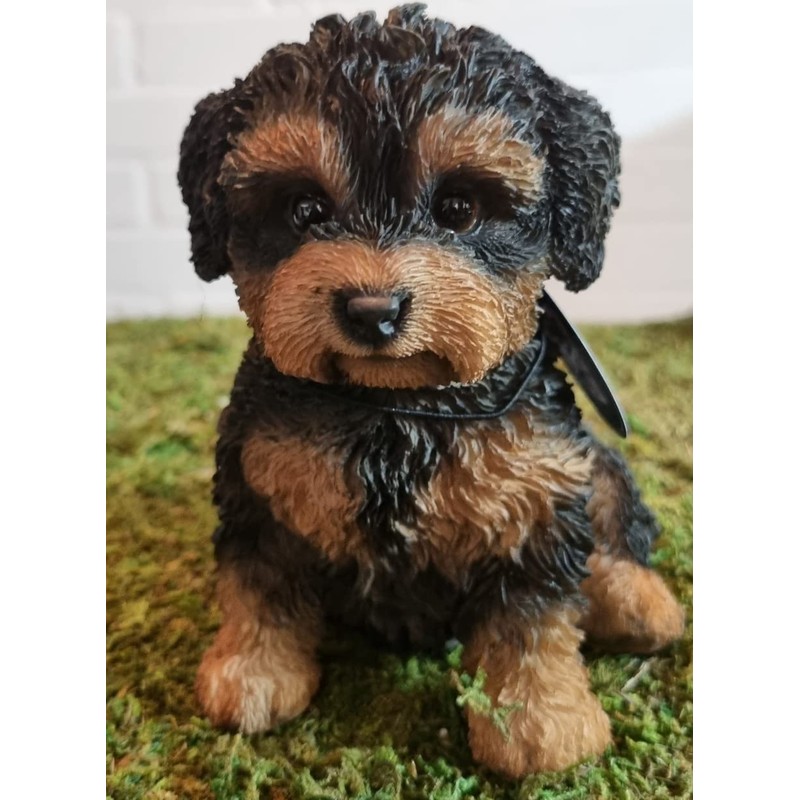 Pet Pals Black and Tan Cavapoo | Resin Home or