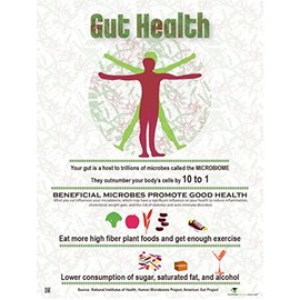Gut Health Poster - Microbiome Poster 18" x 24" Laminated
