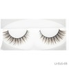 [Set of 12] LJ Gorgeous False Eyelashes 05