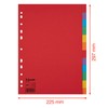 Esselte Leitz Register Karton A4 Multi-Colour 12 tabs multicoloured