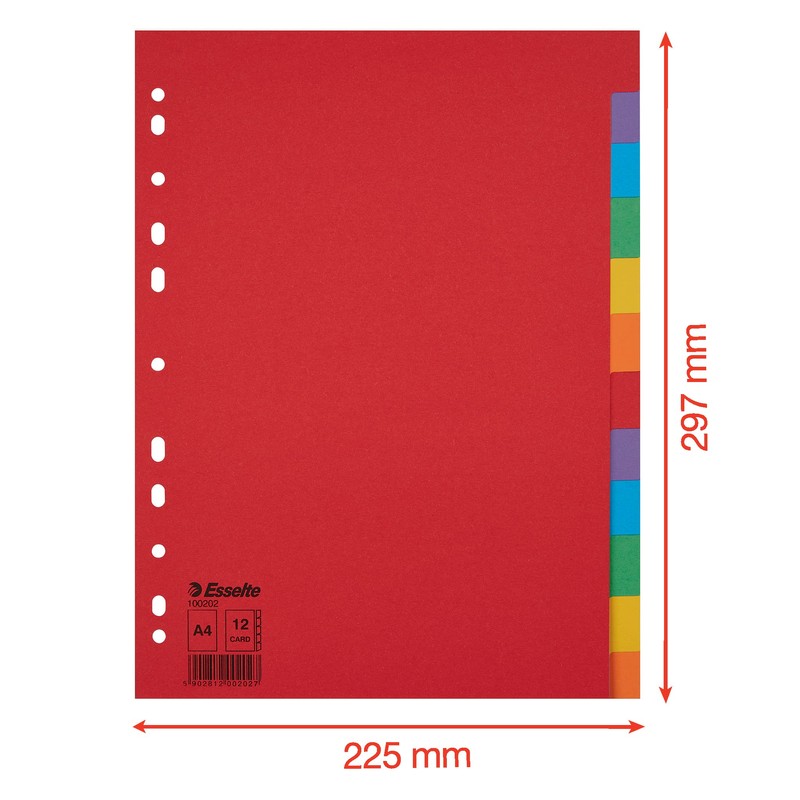 Esselte Leitz Register Karton A4 Multi-Colour 12 tabs multicoloured