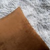 Douceur De Plumes Set of 2 Velvet Cushion Covers 40