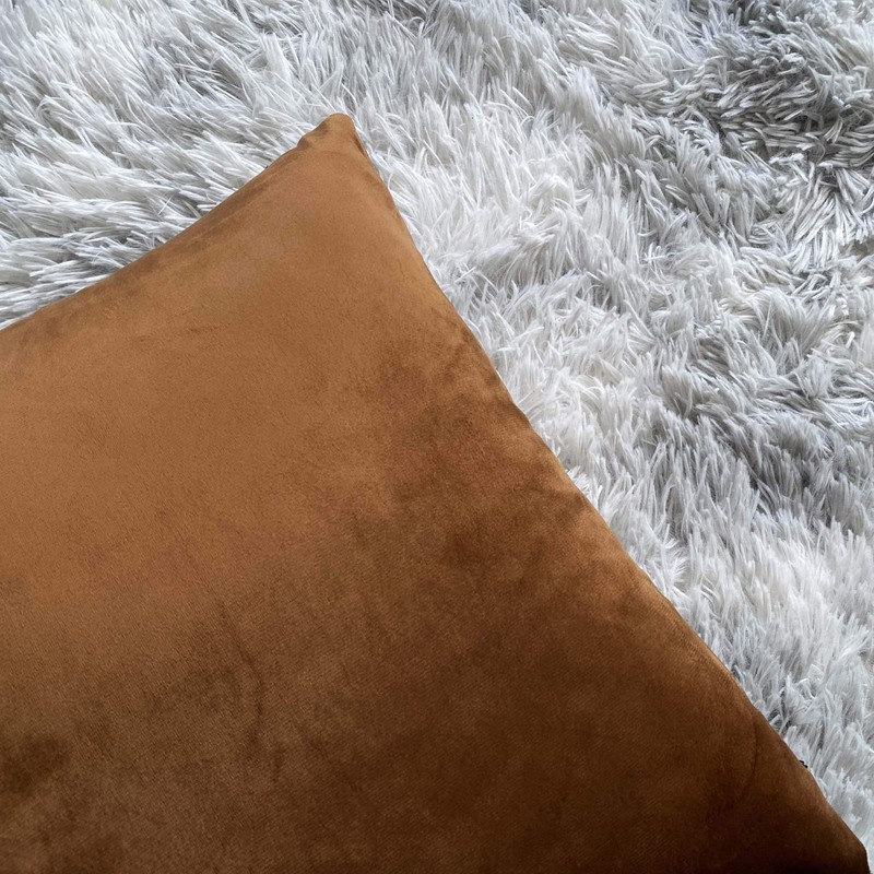 Douceur De Plumes Set of 2 Velvet Cushion Covers 40