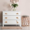 Povxlum 6pcs Wooden Animal Cabinet Knobs Decorative Dresser Knobs with