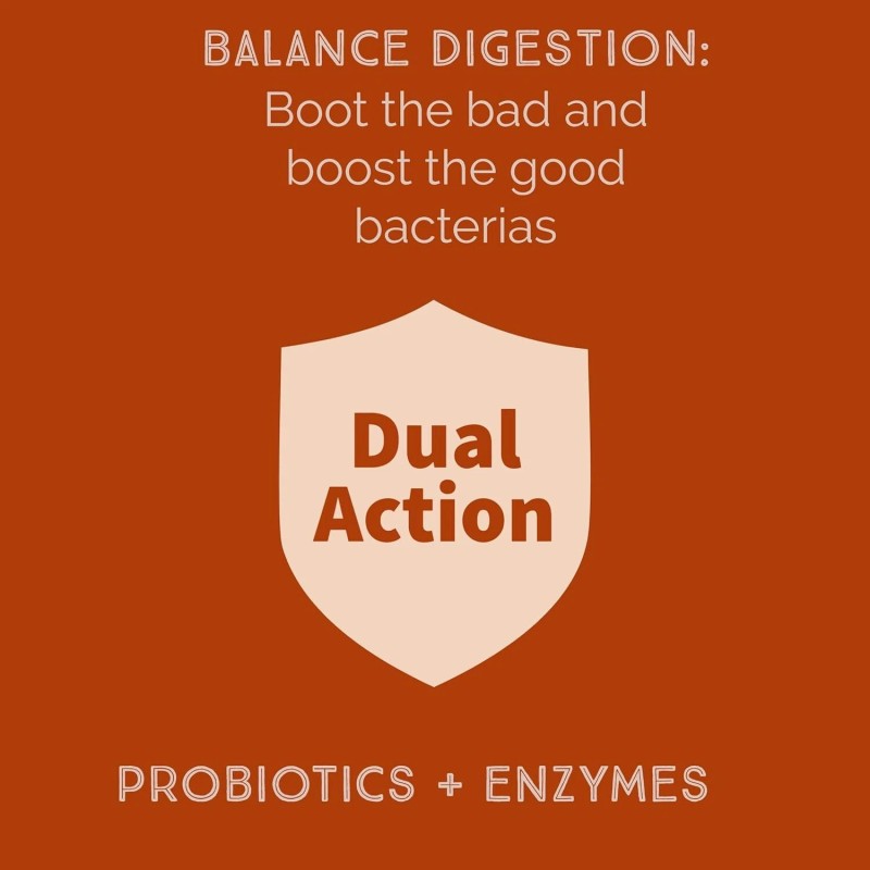 iEnzymes Bacillus B3 Probiotics - Bacillus Subtilis, Coagulans Clausii Enzymes