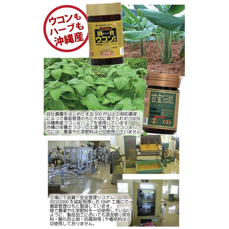 Fusion Turmeric + Sweet Treasure Legend Set (Sold Ghillian Combo)